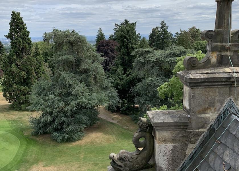 Hessen Kronberg View from room