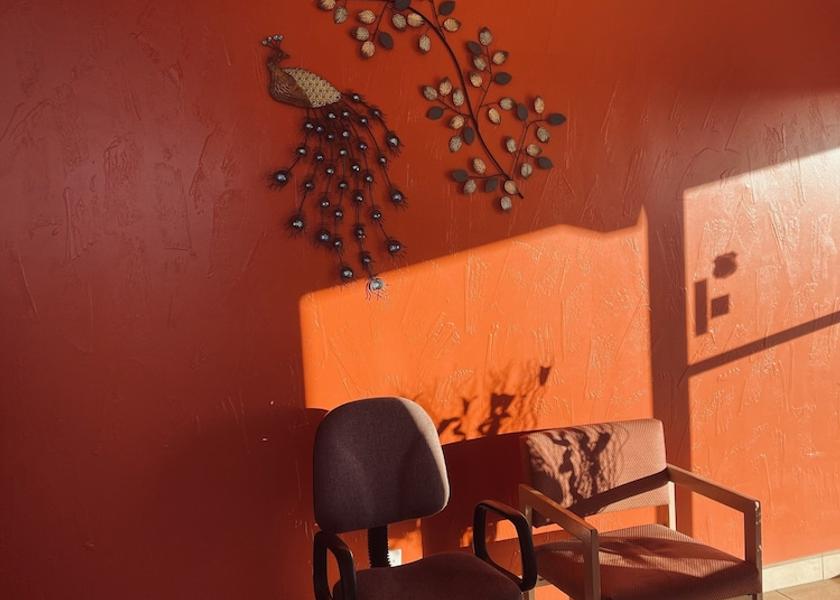 New Mexico Las Cruces Reception