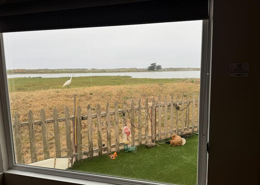 California Moss Landing View from property