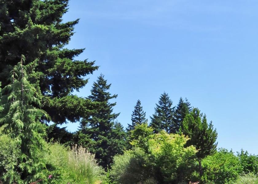 Washington Carson Entrance