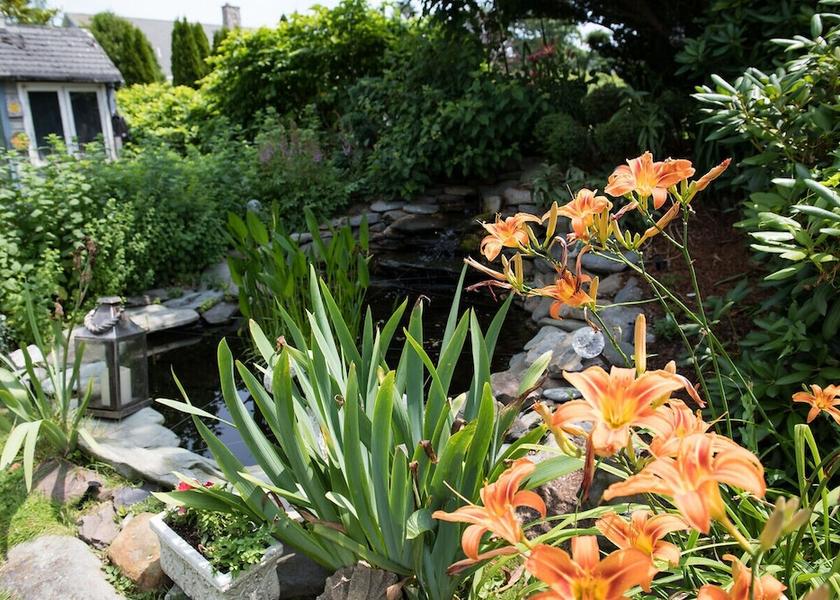 Rhode Island Newport Garden