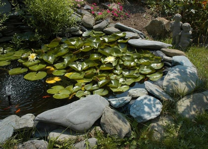 Rhode Island Newport Garden