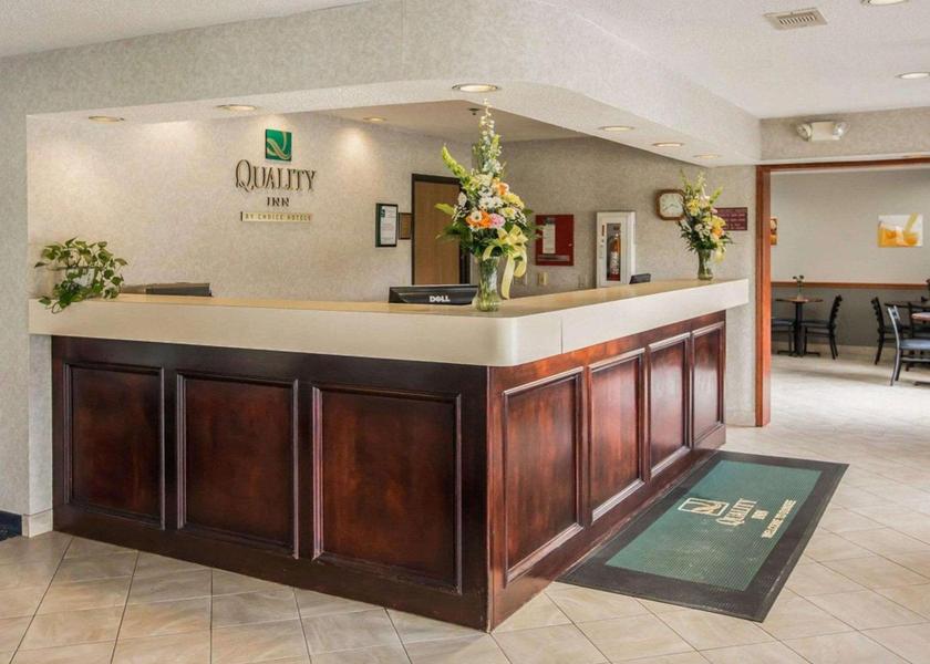 Michigan Dundee lobby