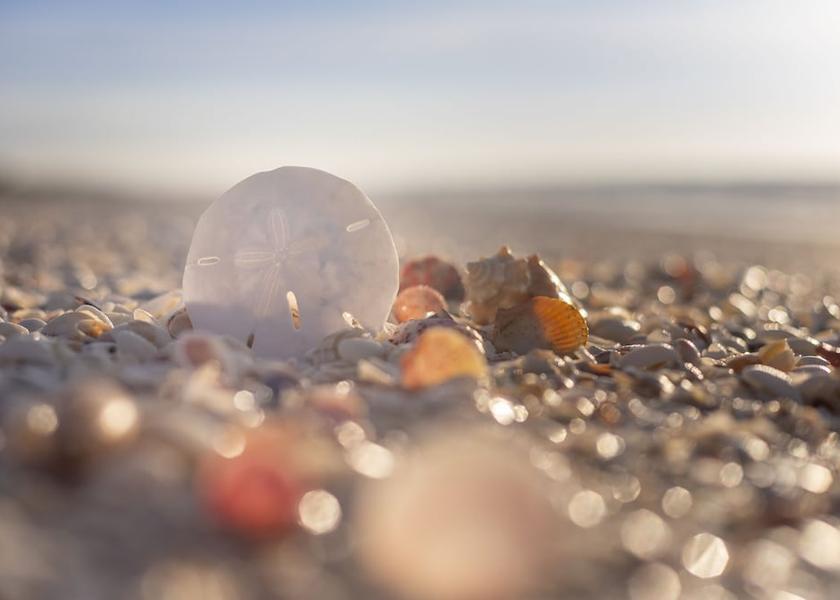 Florida Sanibel Beach