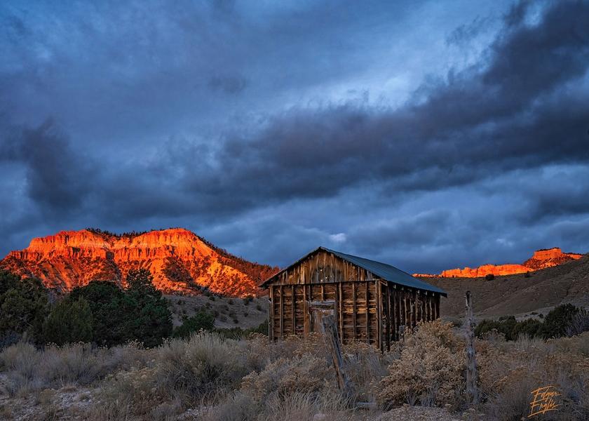 Utah Tropic Facade