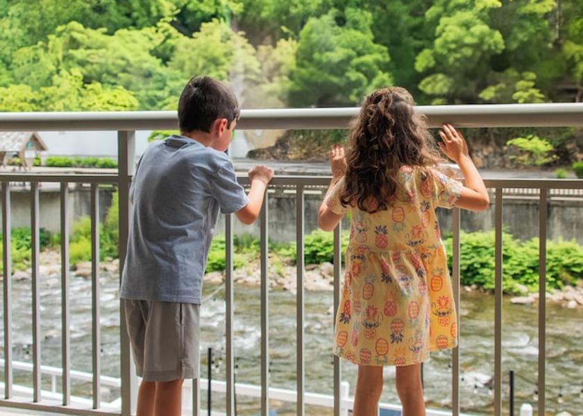 Tennessee Gatlinburg Room