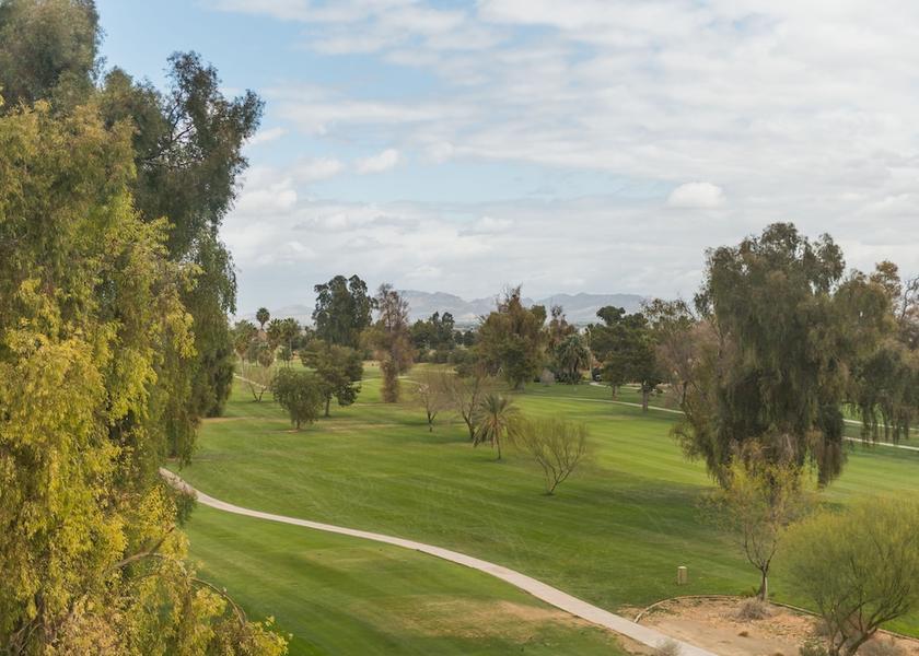 Arizona Mesa View from room