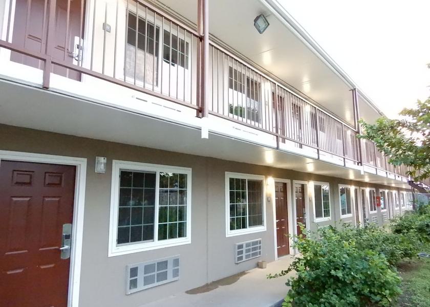 Texas McAllen Garden