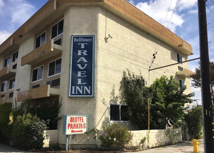 California Bellflower Primary image