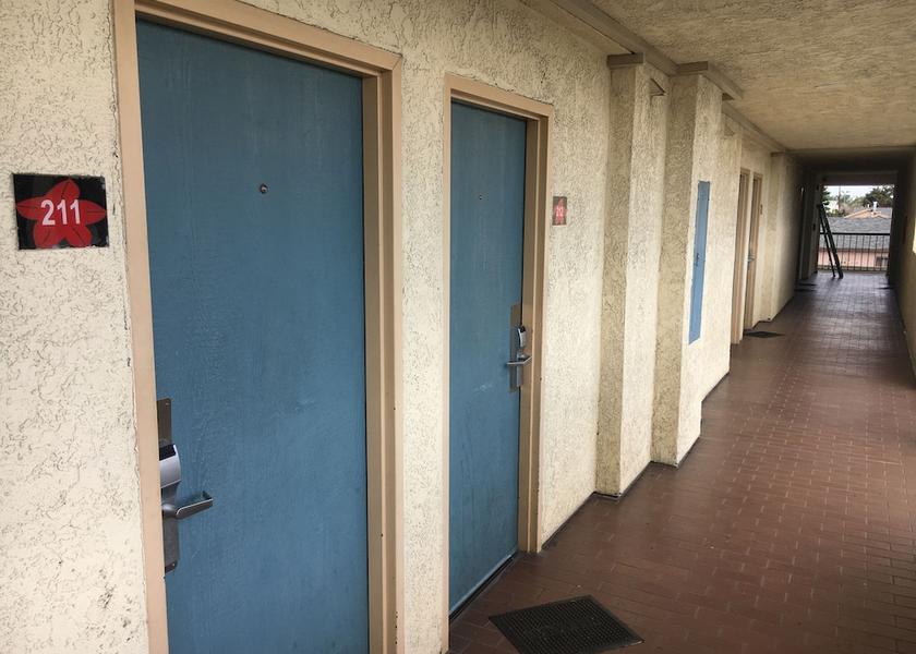 California Bellflower Hallway