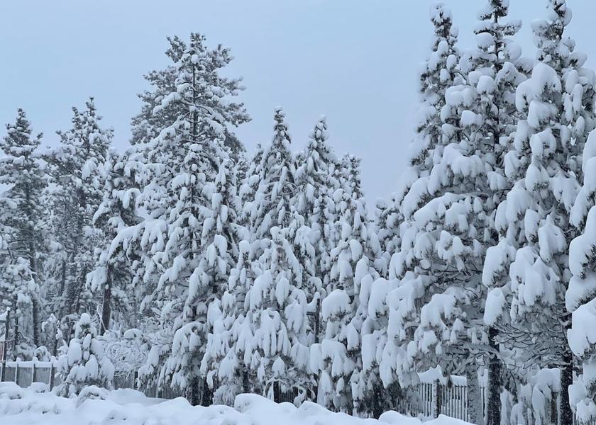 California South Lake Tahoe Property Grounds