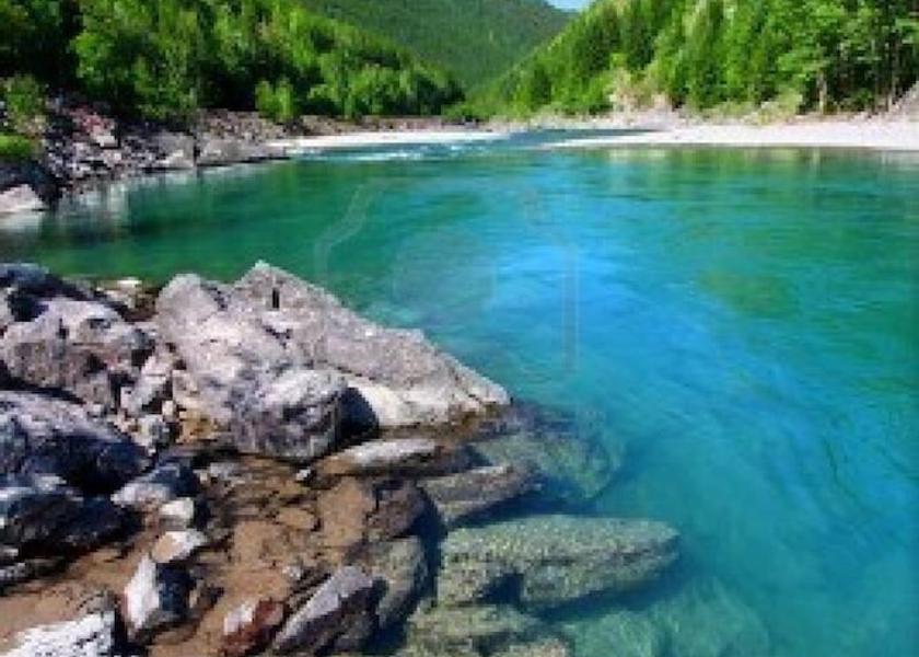 Montana Bigfork Point of interest