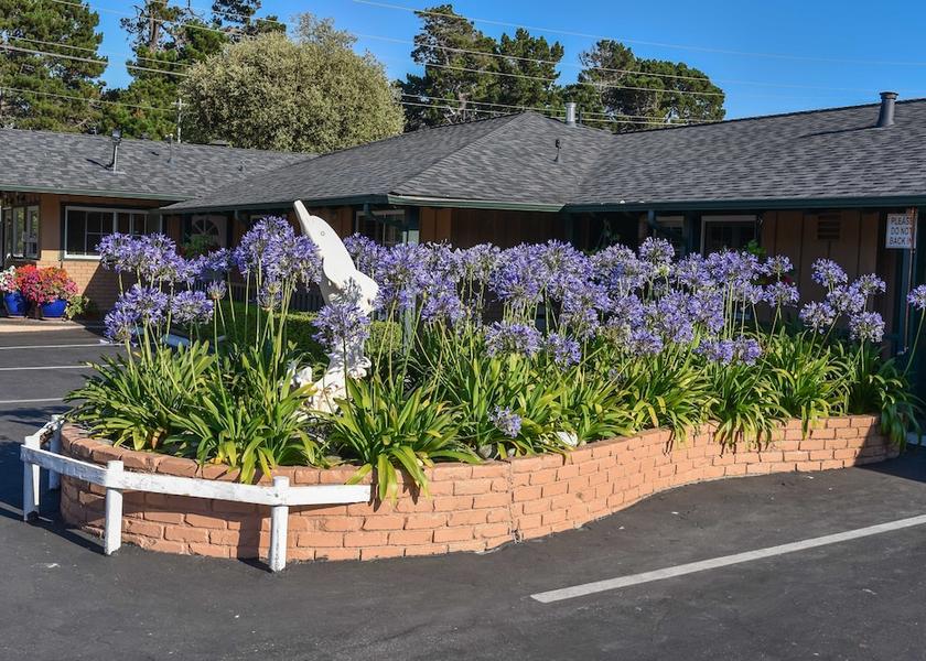 California Monterey Garden
