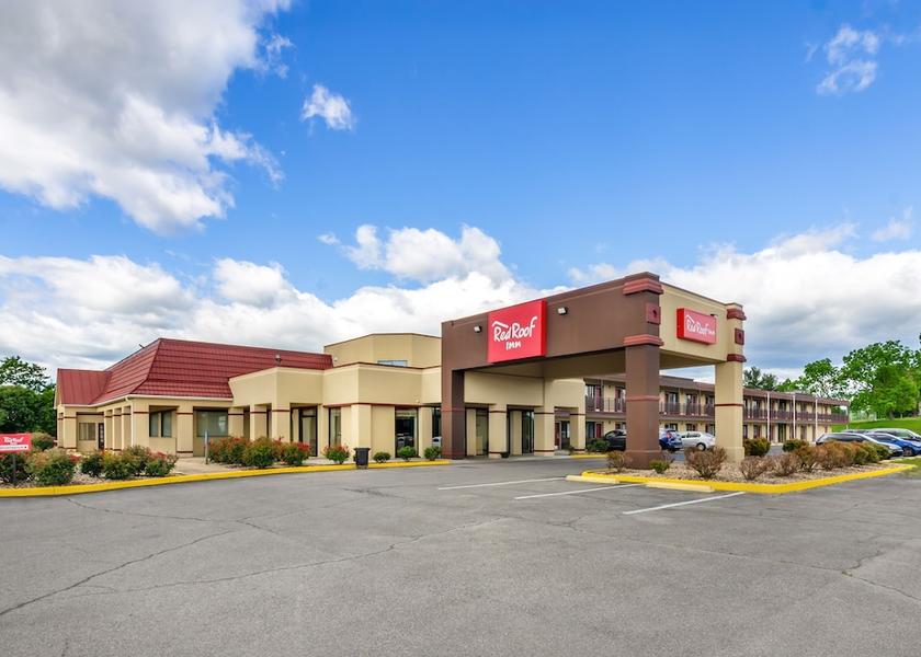 Virginia Staunton Primary image