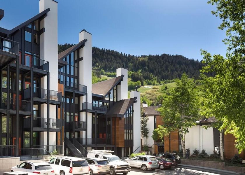 Colorado Aspen Primary image