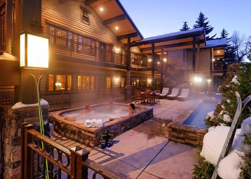 Colorado Aspen Primary image