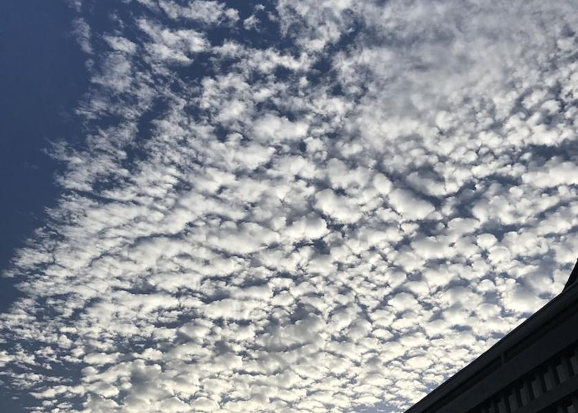 Florida Doral View from Property