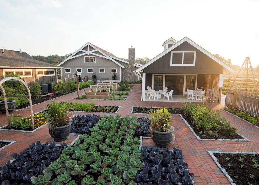 Maryland Stevensville Garden