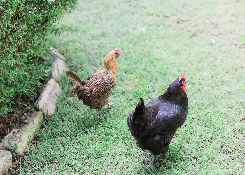 Texas Austin View from Property