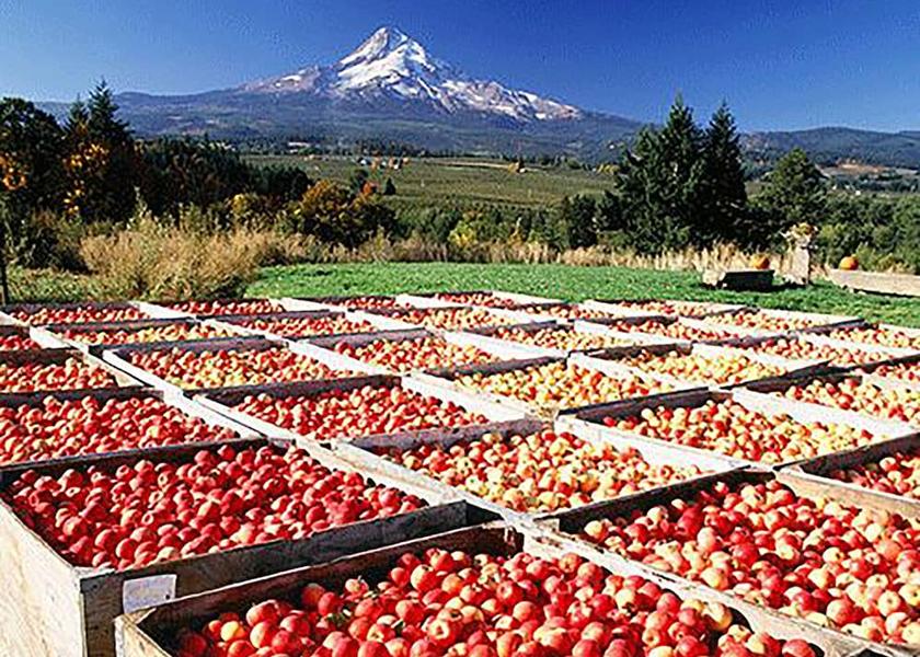 Oregon Hood River Children's activities