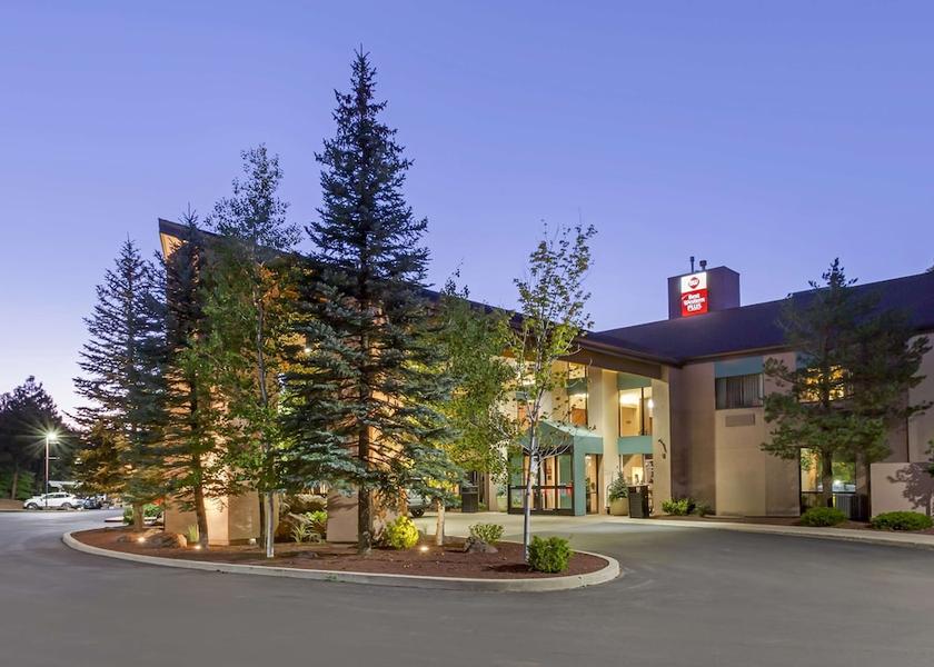 Arizona Williams Primary image