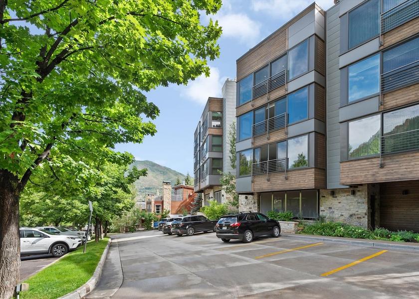 Colorado Aspen Primary image