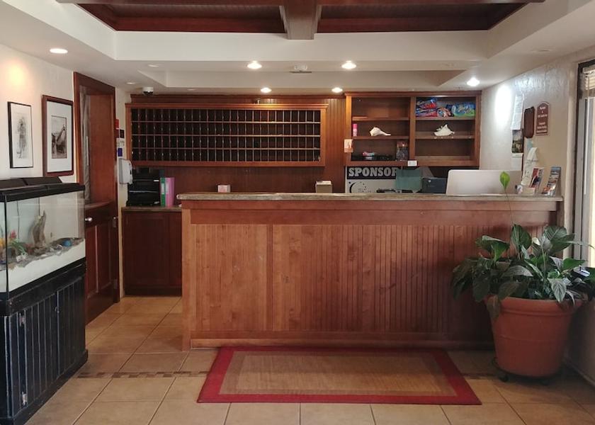 Florida st. george island Reception