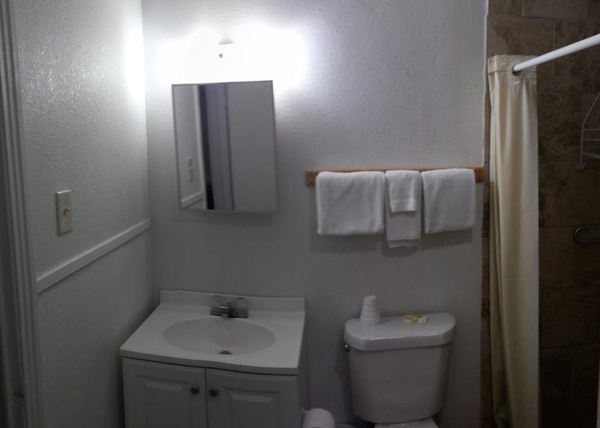 Texas Lamesa Bathroom