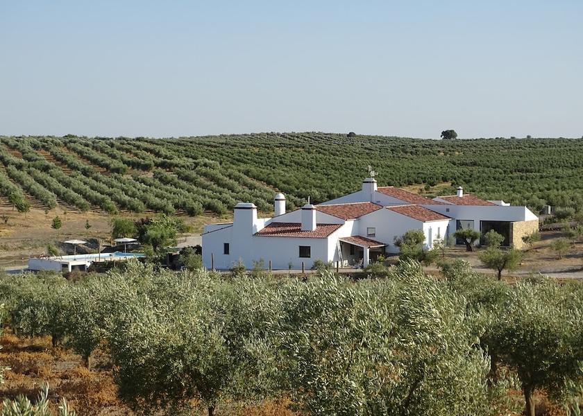Beja Moura Exterior Detail