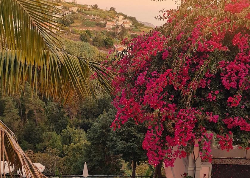 Madeira Region Ponta do Sol View from Property