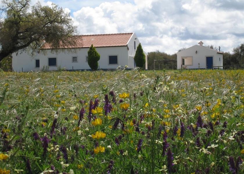 Setúbal Grandola Exterior