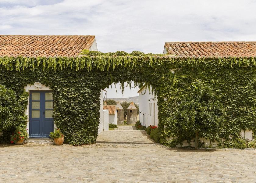 Évora Reguengos de Monsaraz Terrace/patio