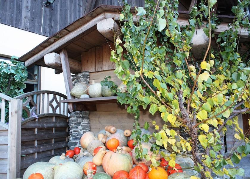 Tyrol Fuegen Exterior detail