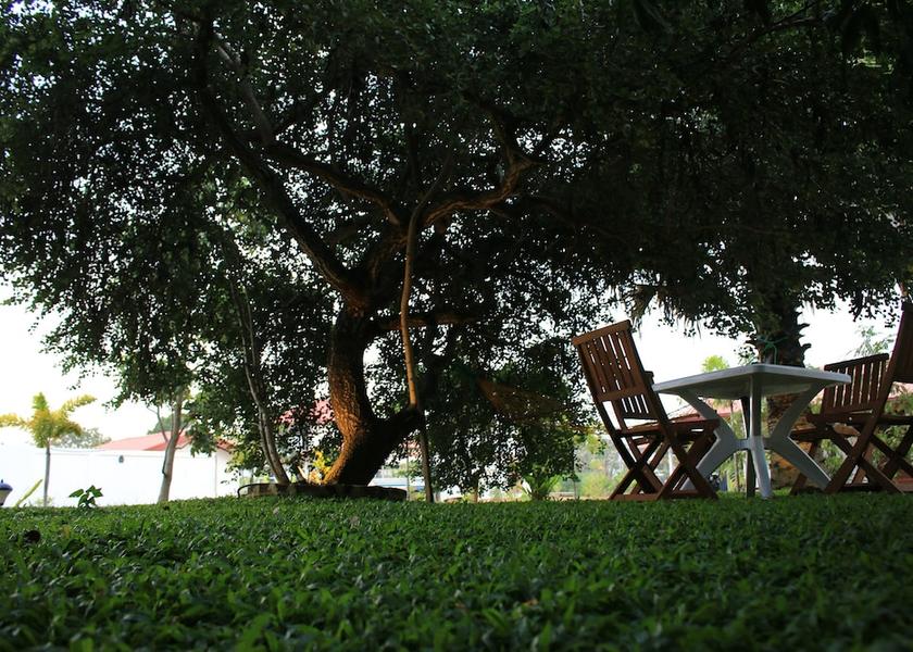 Central Province Dambulla Property grounds