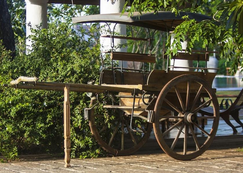 Anuradhapura District Tirappane Exterior Detail