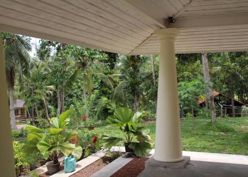Southern Province Gonapinuwala View from Property