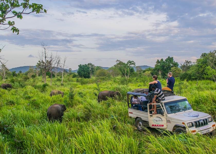 Central Province Sigiriya Exterior Detail