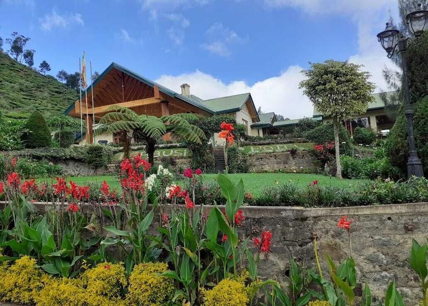 Central Province Nuwara Eliya Garden