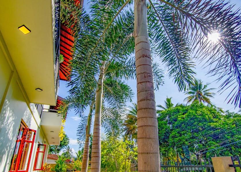 Central Province Kandy Garden View