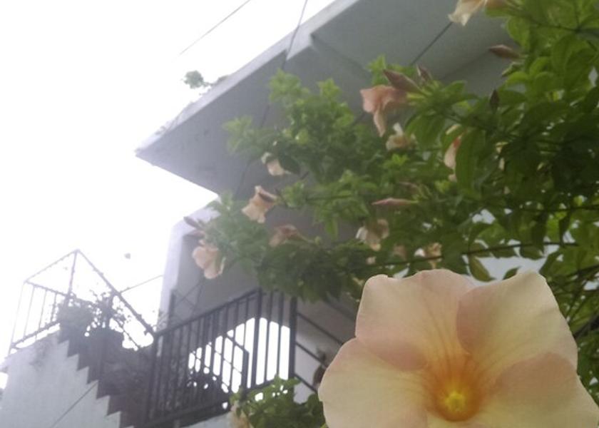 Galle District Unawatuna Facade