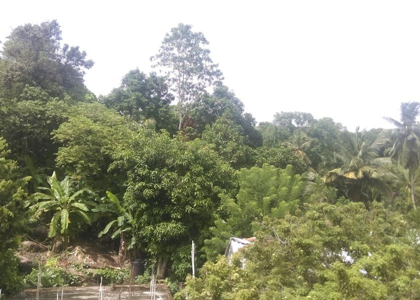 Galle District Unawatuna View from Property