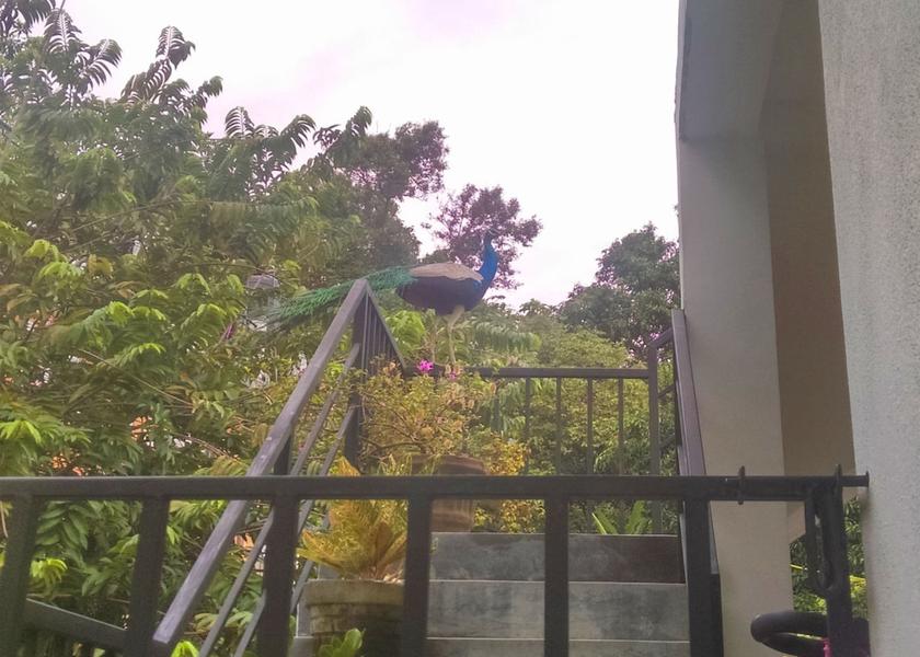 Galle District Unawatuna Exterior Detail