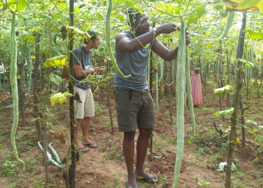 Central Province Dambulla Interior Entrance