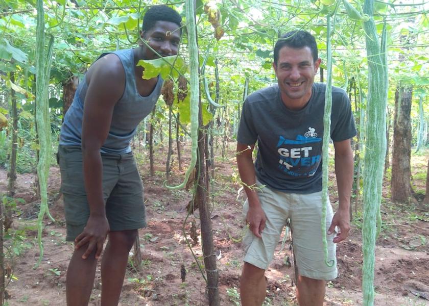 Central Province Dambulla Interior Entrance