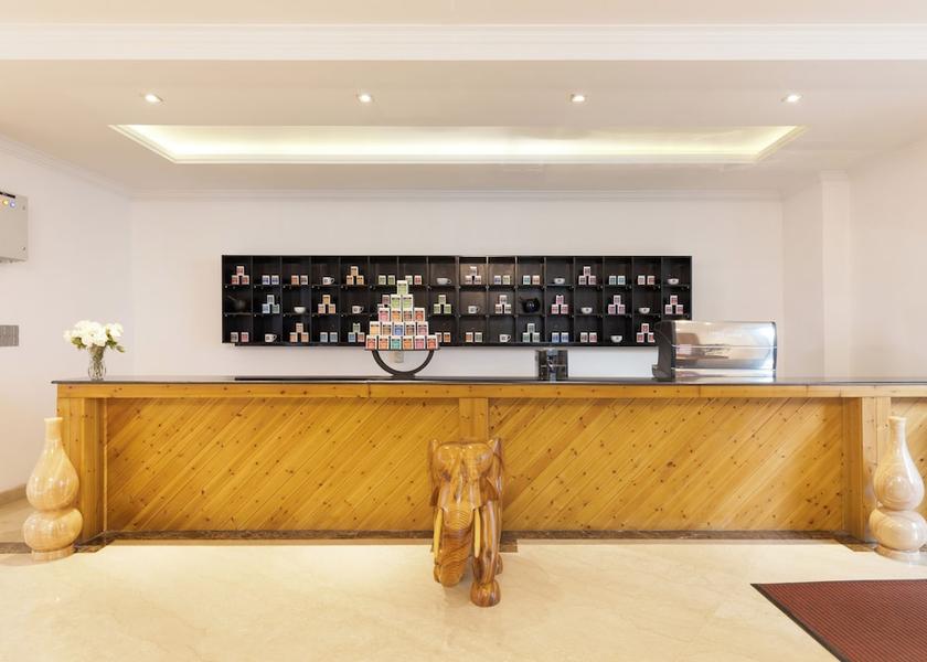 Central Province Nuwara Eliya Lounge