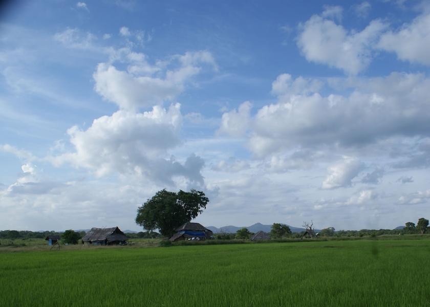 Hambantota District Tissamaharama Exterior Detail
