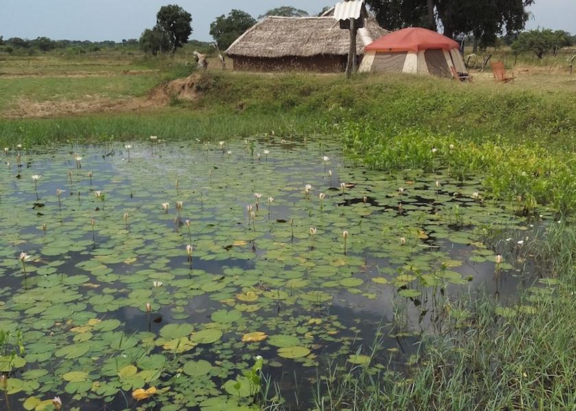 Hambantota District Tissamaharama Lake