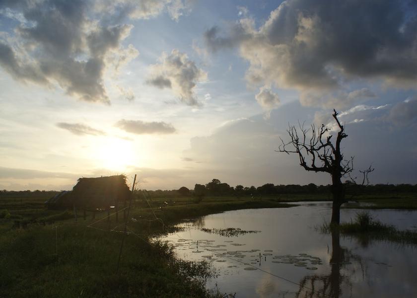 Hambantota District Tissamaharama Exterior Detail