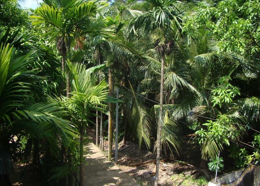 Kalutara District Beruwela Property Grounds