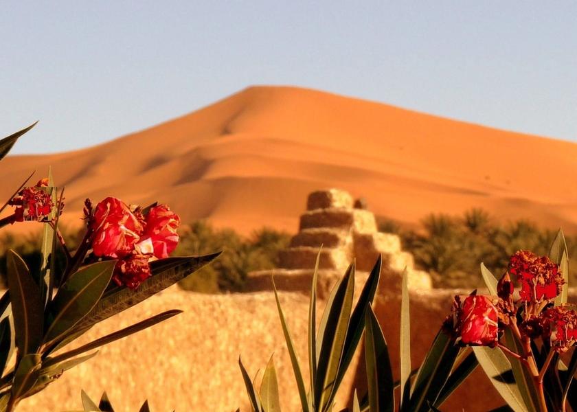 Drâa-Tafilalet Taouz Primary image